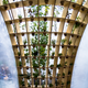 Illustration for article titled Inflatable Greenhouse-Spa Makes Plants and Humans Happy